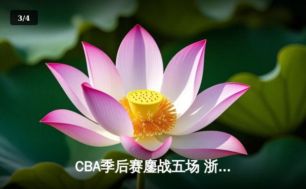 CBA季后赛鏖战五场 浙江广厦逆转广东宏远晋级四强 - 3